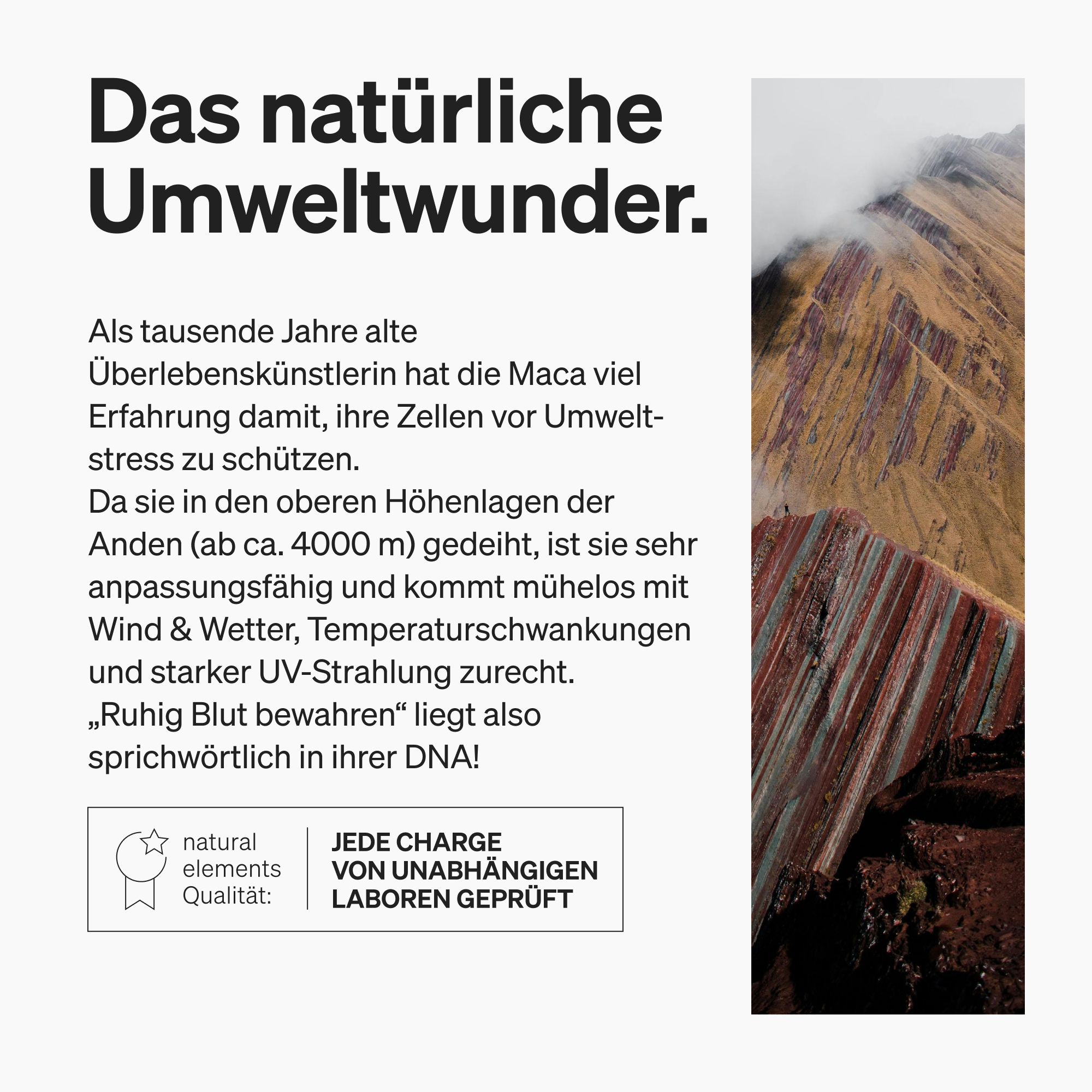 Text: Das natürliche Umweltwunder. Logo: natural elements. Text: JEDE CHARGE VON UNABHÄNGIGEN LABOREN GEPRÜFT.