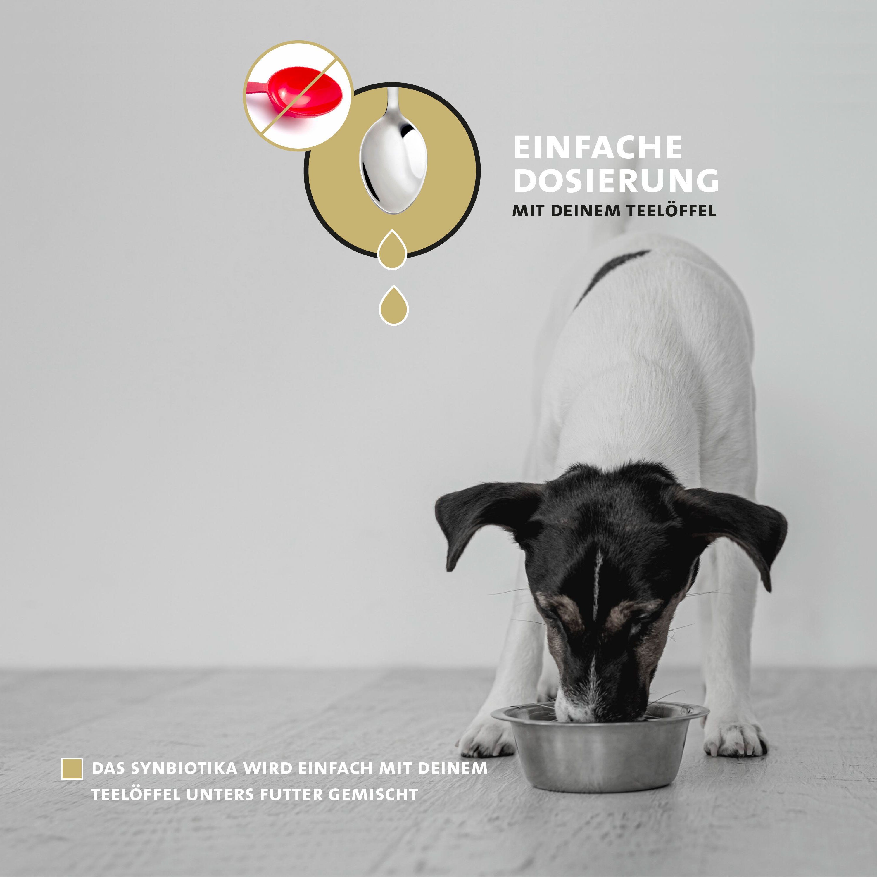 Hund frisst aus Futternapf. Text: Einfache Dosierung mit deinem Teelöffel. Synbiotika unter Futter mischen.