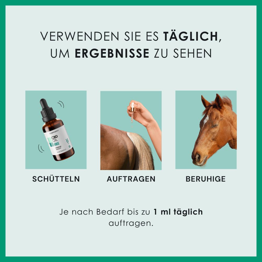 Anwendung von CBD Oil Horse. Schütteln, auftragen, beruhigen. Bis zu 1 ml täglich.