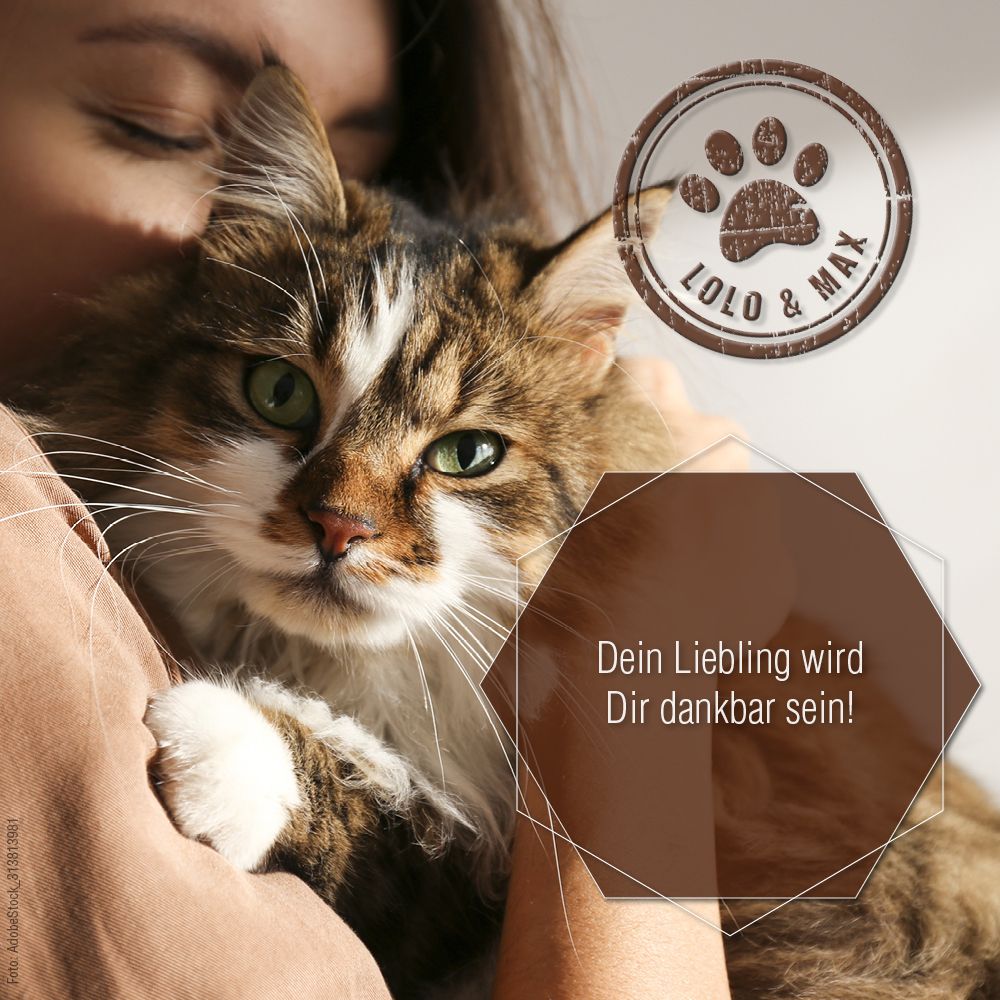 Lolo & Max - Multimineral Pulver für Hunde und Katzen