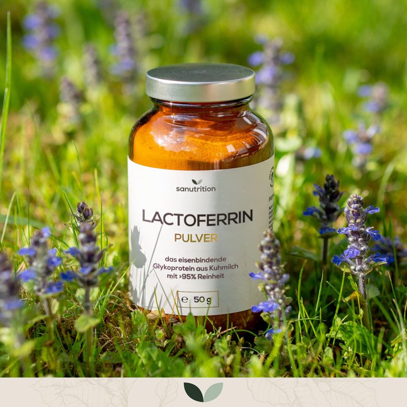 Braune Glasflasche mit Sanutrition Lactoferrin Pulver. Etikett mit Produktinformationen. Steht in Blumenwiese.