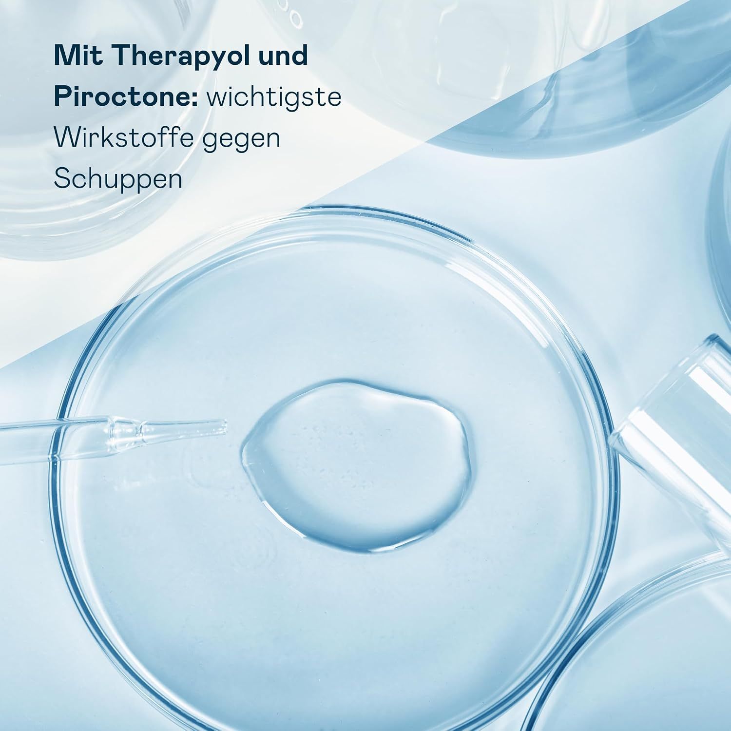 Laborbehälter mit Flüssigkeit und Pipette, symbolisiert Inhaltsstoffe.