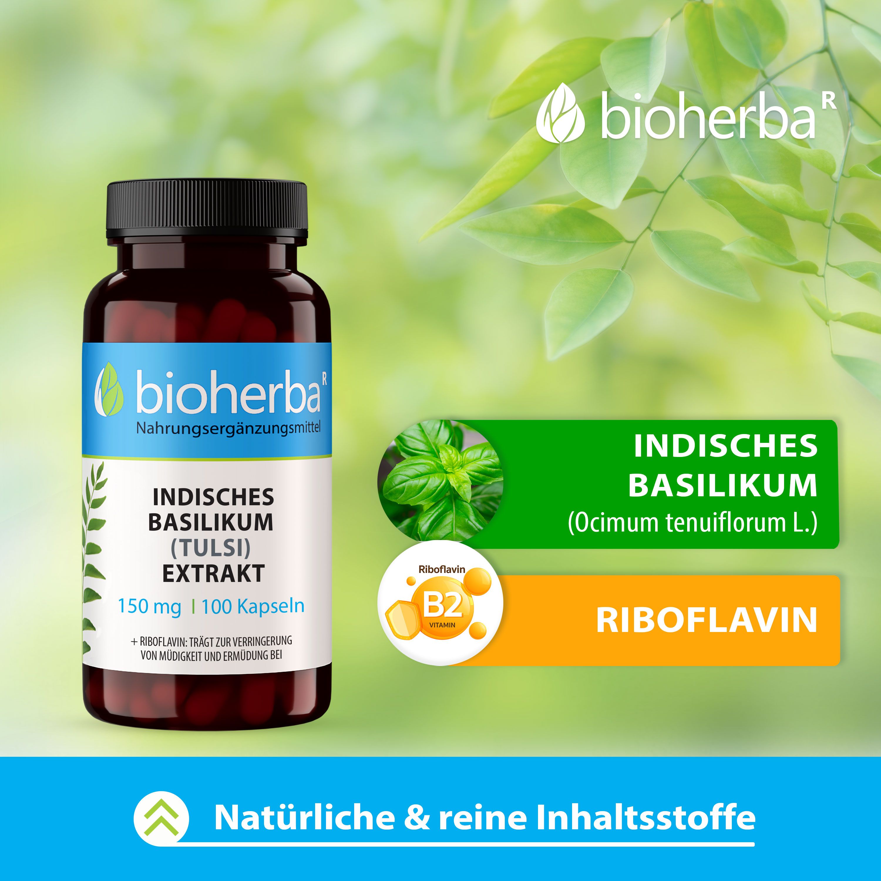 Kapsel-Dose mit Aufschrift: Bioherba, Indisches Basilikum (Tulsi) Extrakt, 150 mg, 100 Kapseln. Abbildung von Basilikum und Vitamin B2.