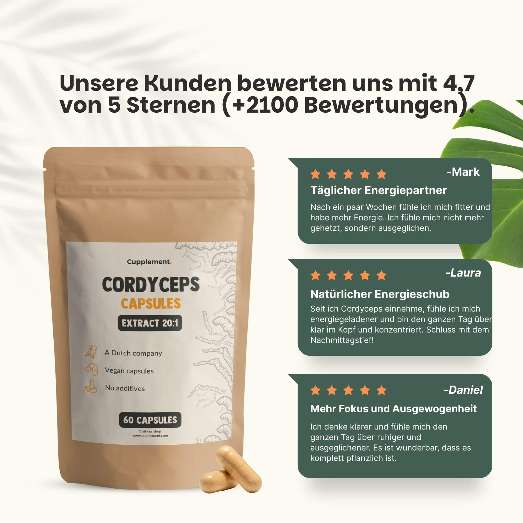 Beutel mit Cordyceps-Kapseln. Text: 100% natürliche Cordyceps-Kapseln. 400 mg pro Kapsel. Für 1 Monat Dosen. 60 Kapseln.
