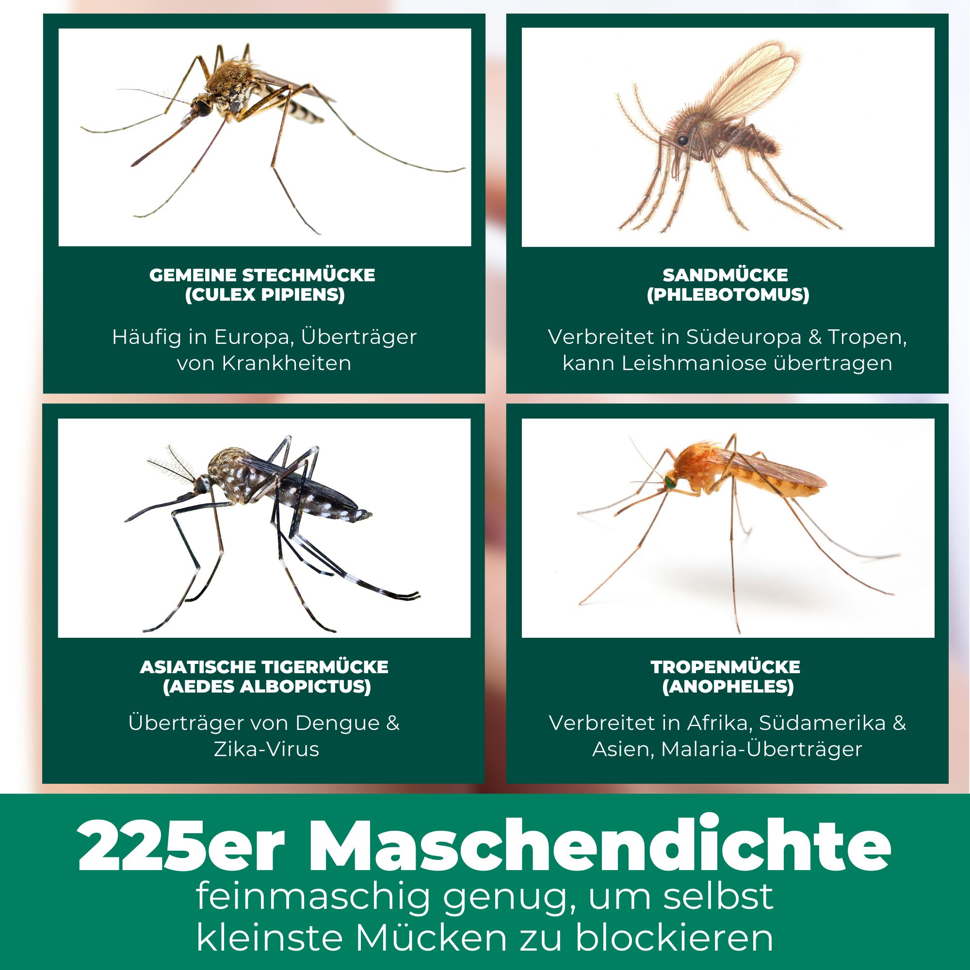 SILBEKRAFT Moskitonetz mit Klebehaken