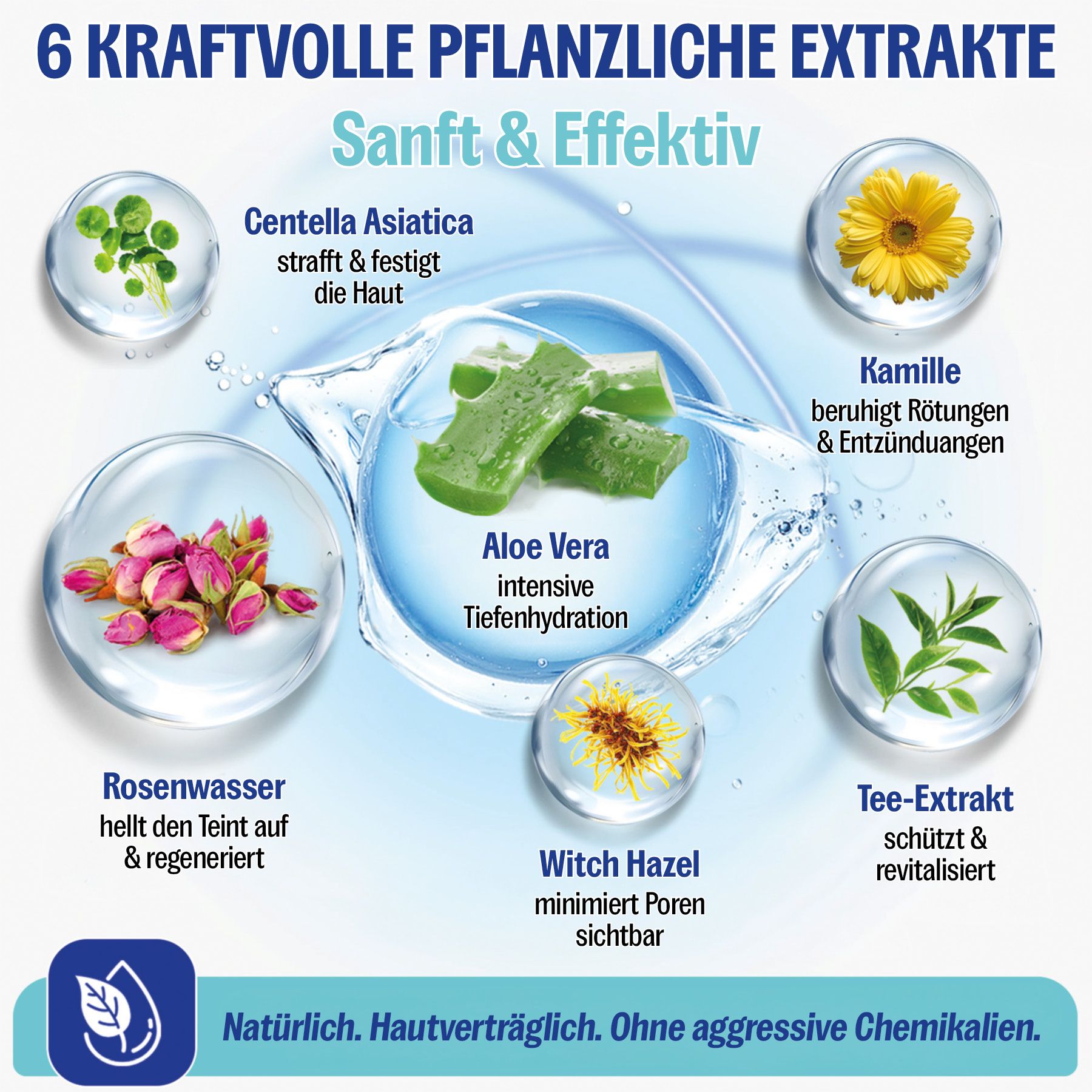 P-Beauty Gesichtsserum Stammzellen Serum für Anti-Aging Microneedling