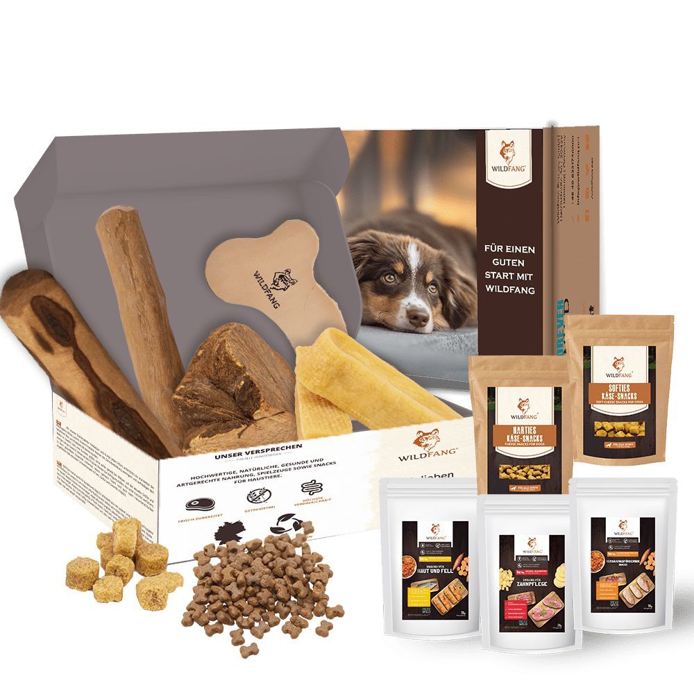 Geschenkbox mit Hundesnacks und Kauspielzeug. Enthält Kauknochen, Kausnacks, und Trockenfutter. Verpackung mit Wildfang Logo.