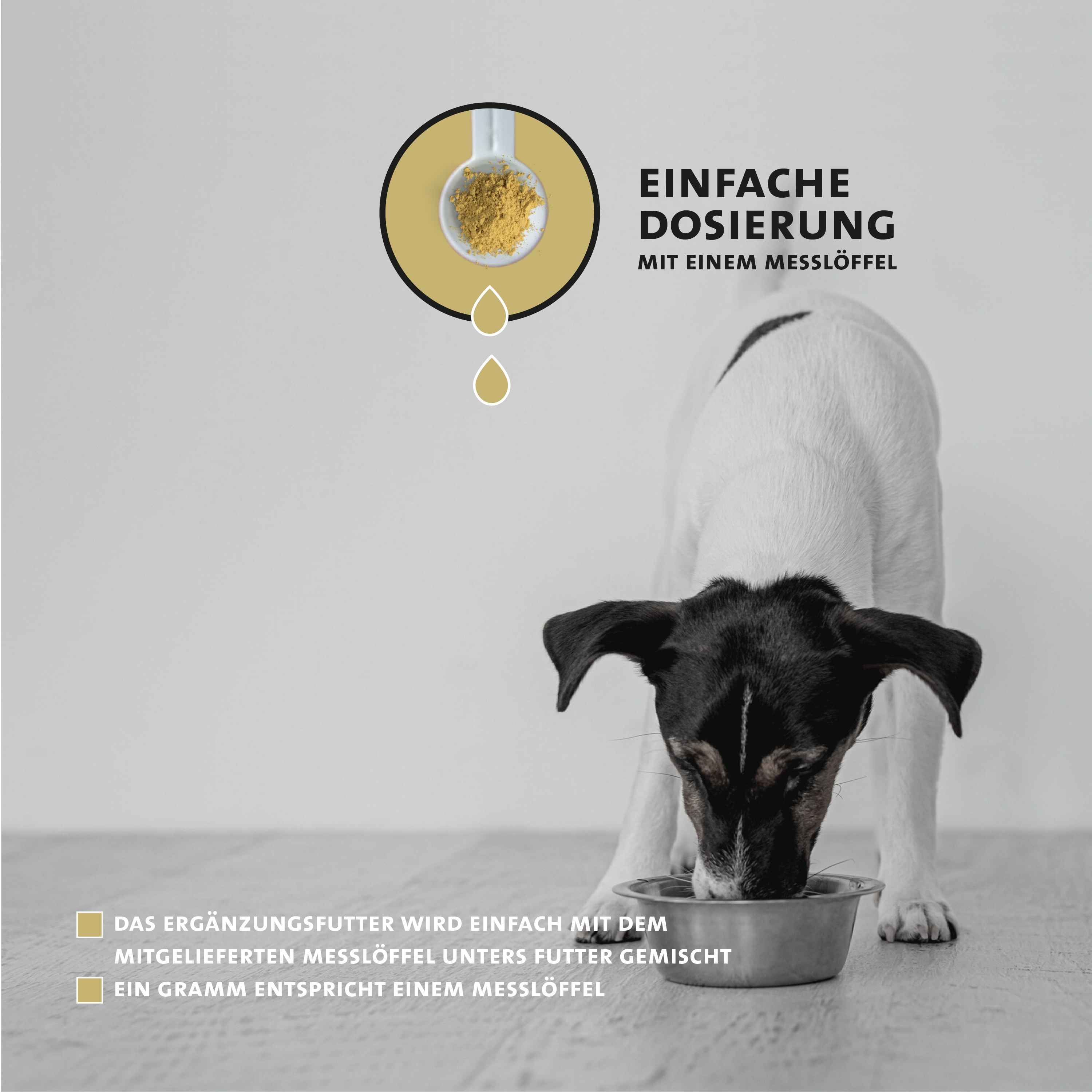 Peticare Natürliches Ergänzungsfutter Fell & Haut Pulver für Hunde