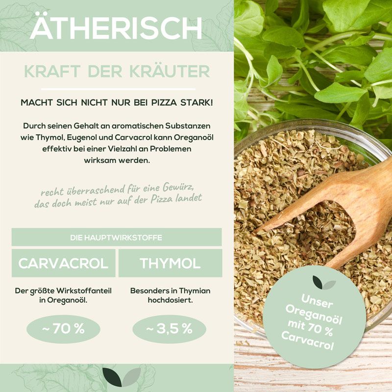 Infografik. Kräuter und Oreganoöl. Hauptwirkstoffe: Carvacrol (70%) und Thymol (3,5%). Text: "Unser Oreganoöl mit 70% Carvacrol".