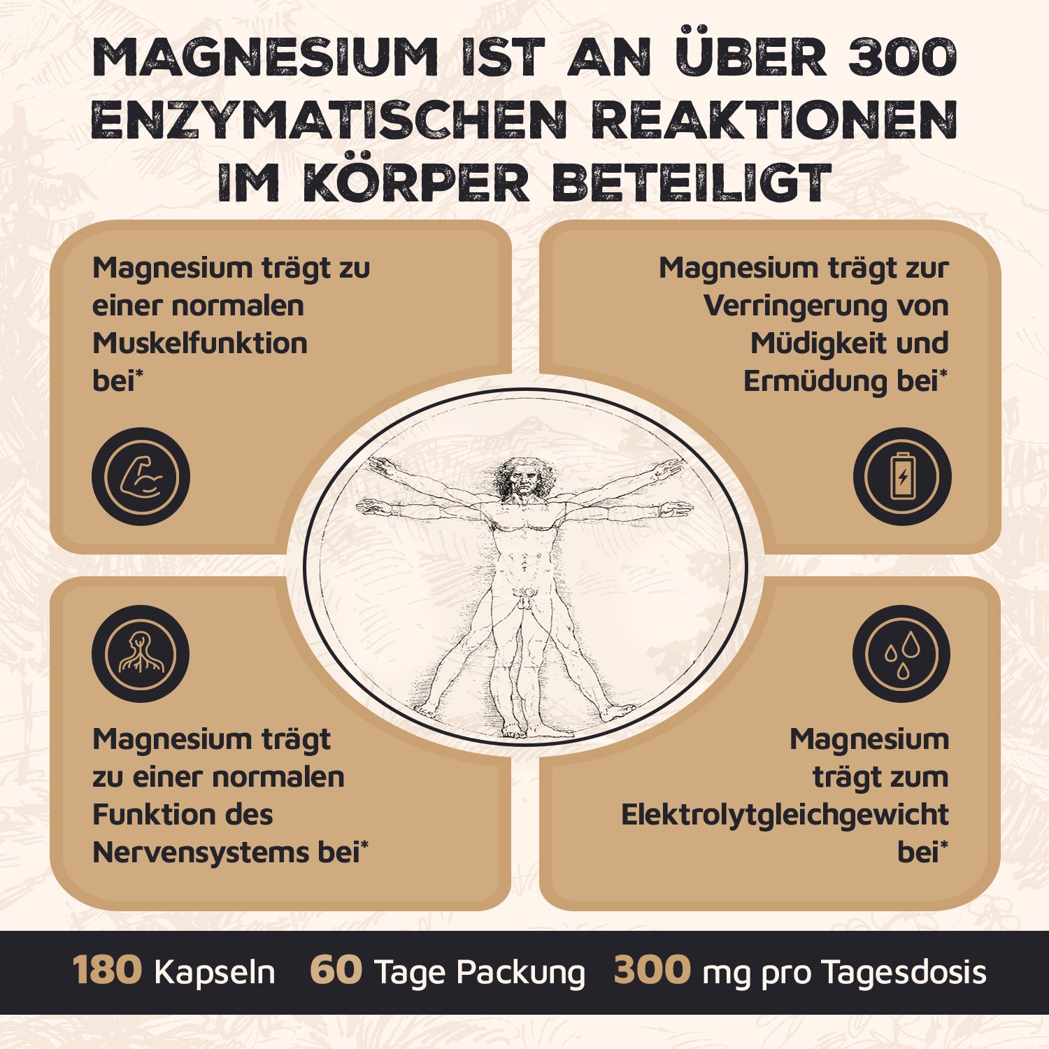 Infografik mit Text und Illustrationen. Magnesium ist an über 300 enzymatischen Reaktionen beteiligt. 180 Kapseln, 60 Tage Packung, 300 mg.