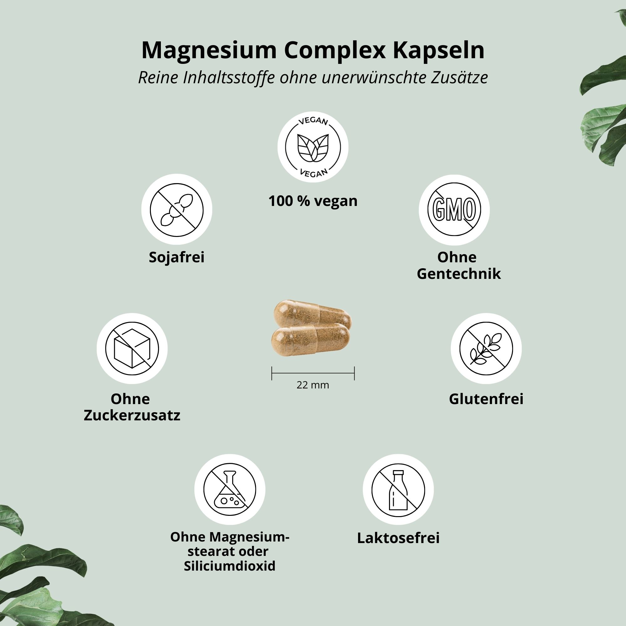 Zwei Kapseln neben Grafiken. Text: 100% vegan, sojafrei, ohne Zuckerzusatz, ohne Magnesiumstearat, ohne Gentechnik, glutenfrei, laktosefrei.