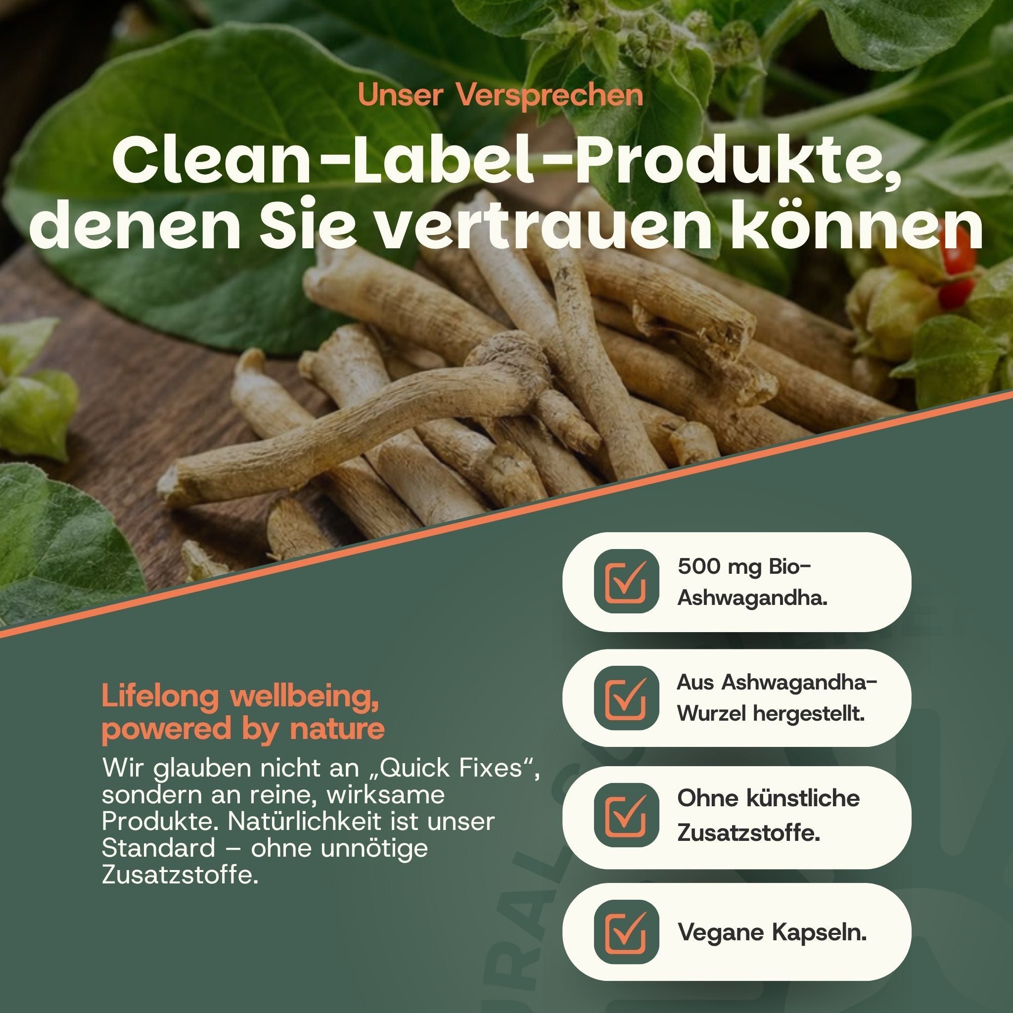 Ashwagandha-Kapseln: 500 mg Bio-Ashwagandha-Extrakt aus der Wurzel, vegan, ohne Zusatzstoffe.