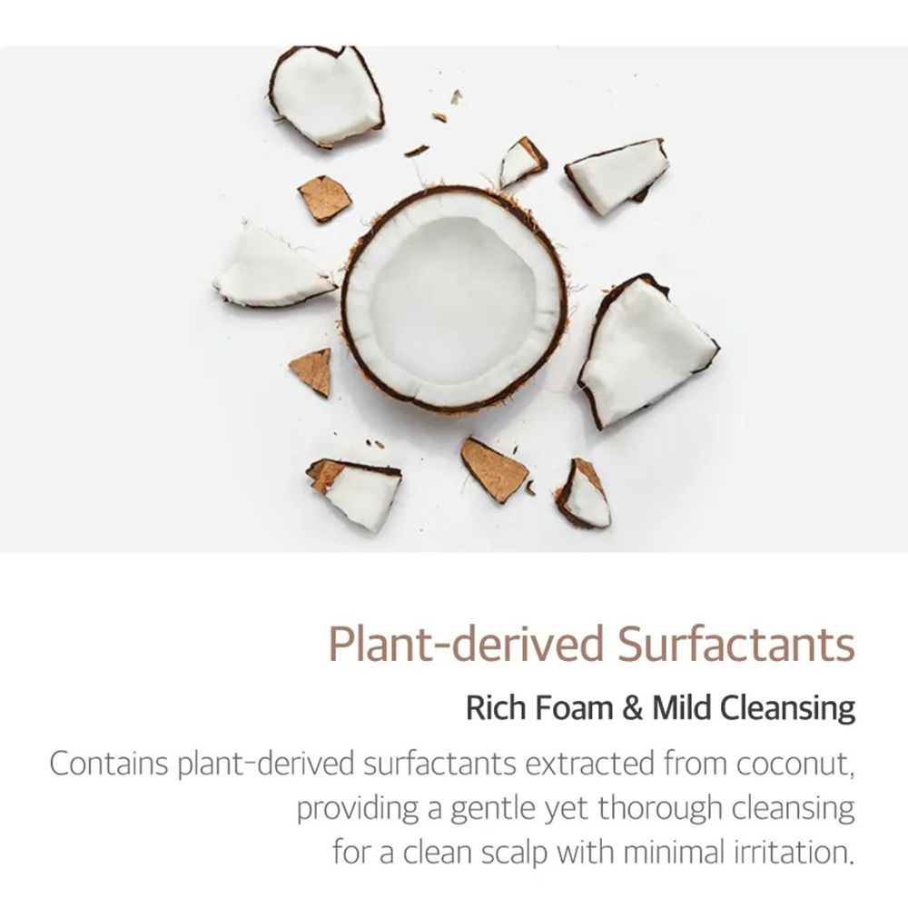 Kokosnussstücke auf weißem Hintergrund. Text: Pflanzliche Tenside. Reichhaltiger Schaum & milde Reinigung.