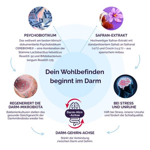 Infografik zum Thema Darm-Hirn-Achse. Diagramm mit Illustrationen zu Psychobiotikum, Safran-Extrakt, Darm-Mikrobiota, Stress und Unruhe.