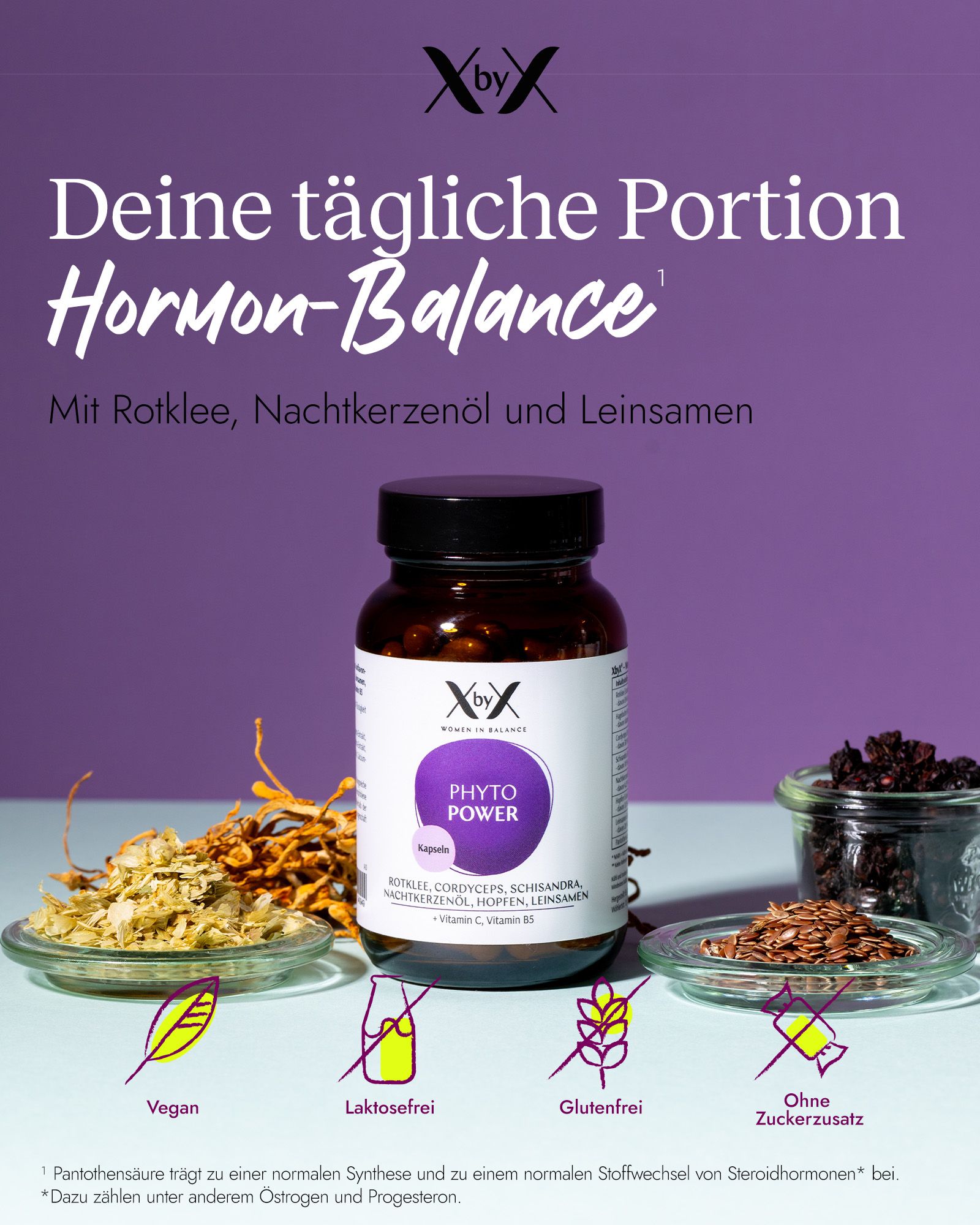 Braune Kapsel-Flasche mit XbyX Phyto Power Etikett, daneben Rotklee, Nachtkerzenöl und Leinsamen.