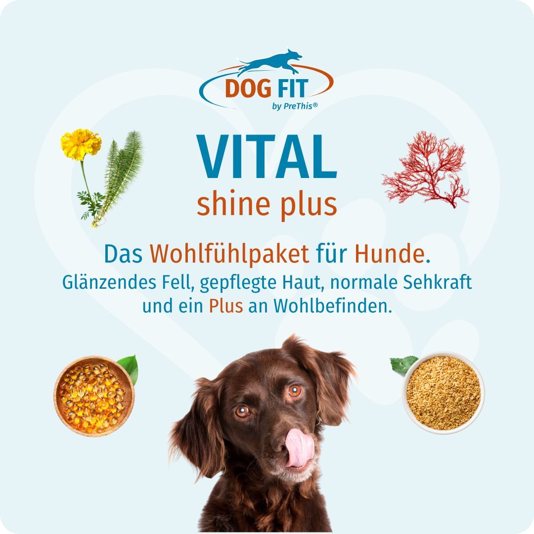 Produktabbildung mit Inhaltsstoffen und Hund. Text: DOG FIT by PreThis® VITAL shine plus. Glänzendes Fell, gepflegte Haut.