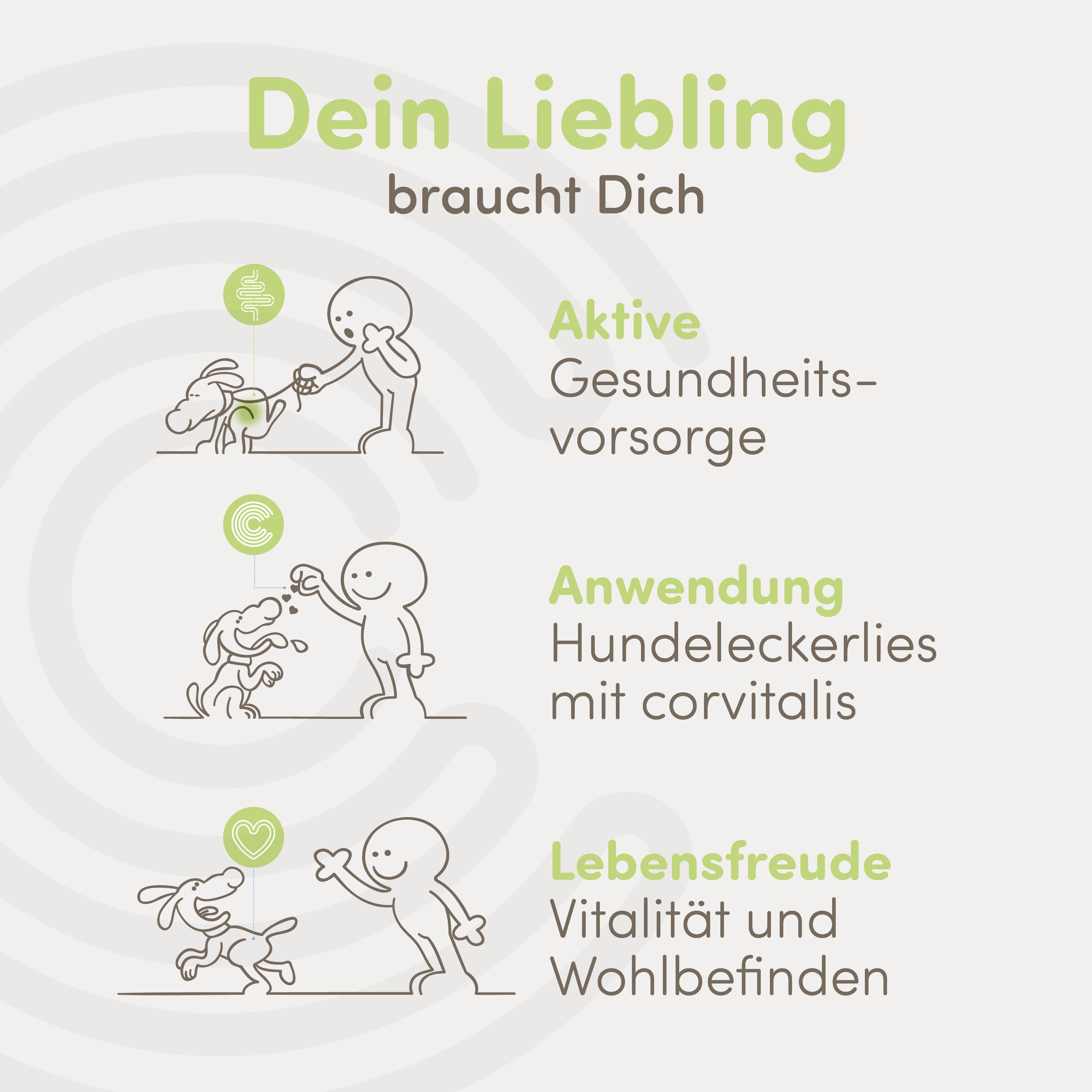 Illustrationen zeigen Hund und Halter: Gesundheitsvorsorge, Anwendung, Lebensfreude.