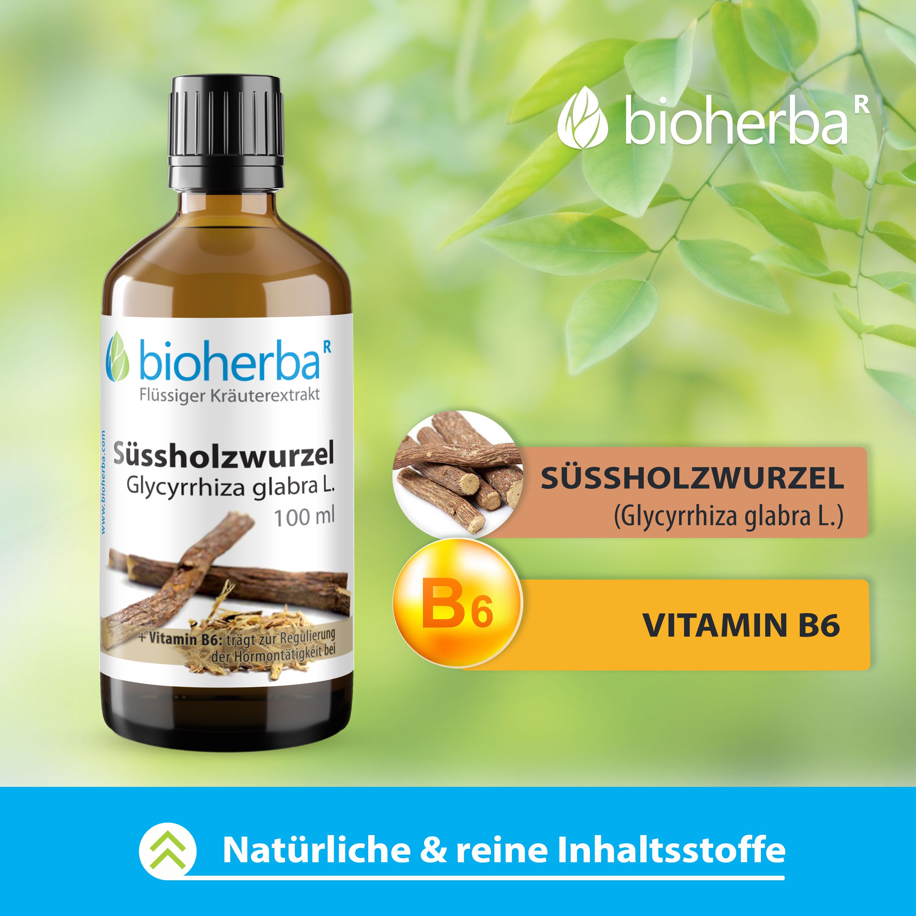 Bioherba Süssholzwurzel, Glycyrrhiza glabra L. Tinktur, 100 ml Flasche. Vitamin B6 und Süssholzwurzel-Extrakt. Hintergrund mit Blättern.