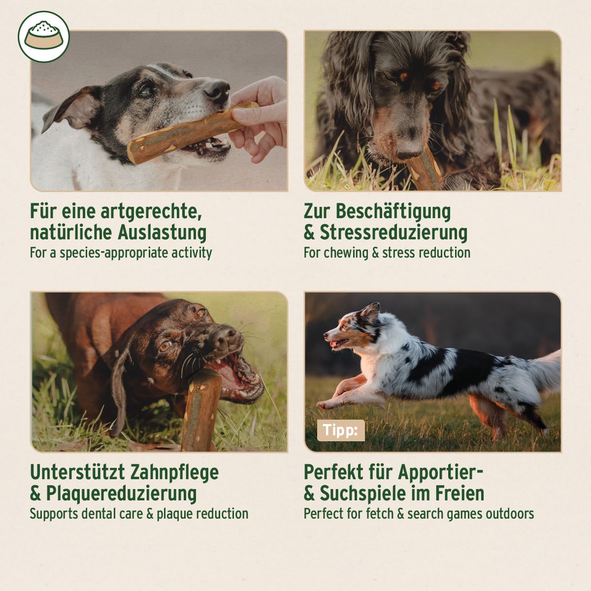Vier Bilder mit Hunden und Olivenholz-Knabberstäben. Aufschrift: Für eine artgerechte, natürliche Auslastung, Zur Beschäftigung.
