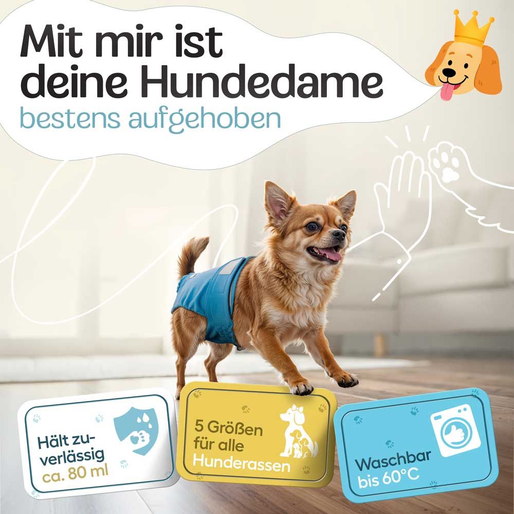 Hündin mit blauer Windel. Text: Hält zuverl. ca. 80 ml, 5 Größen für alle Hunderassen, Waschbar bis 60°C. Hintergrund: Hände klatschen.