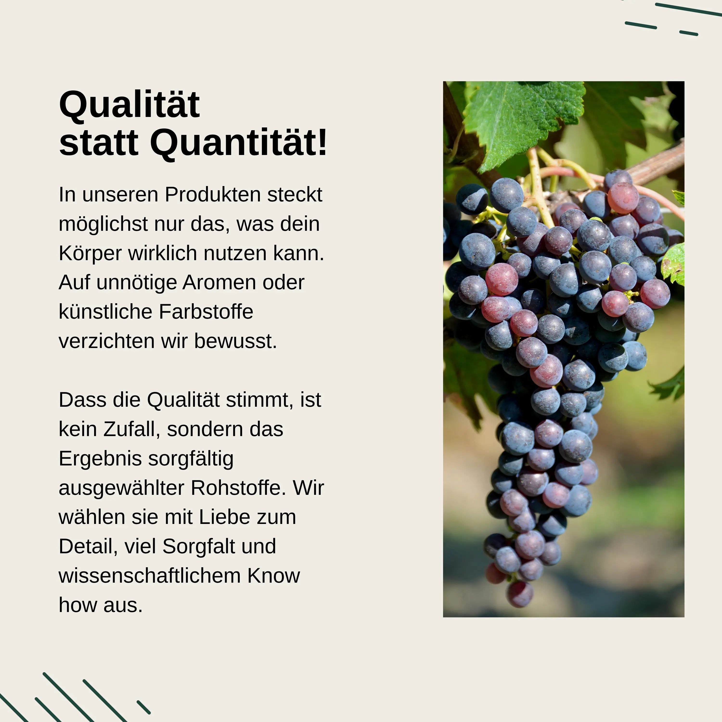 Qualität statt Quantität bei Vita Elements OPC Traubenkernextrakt. Ausgewählte Rohstoffe, keine künstlichen Aromen.