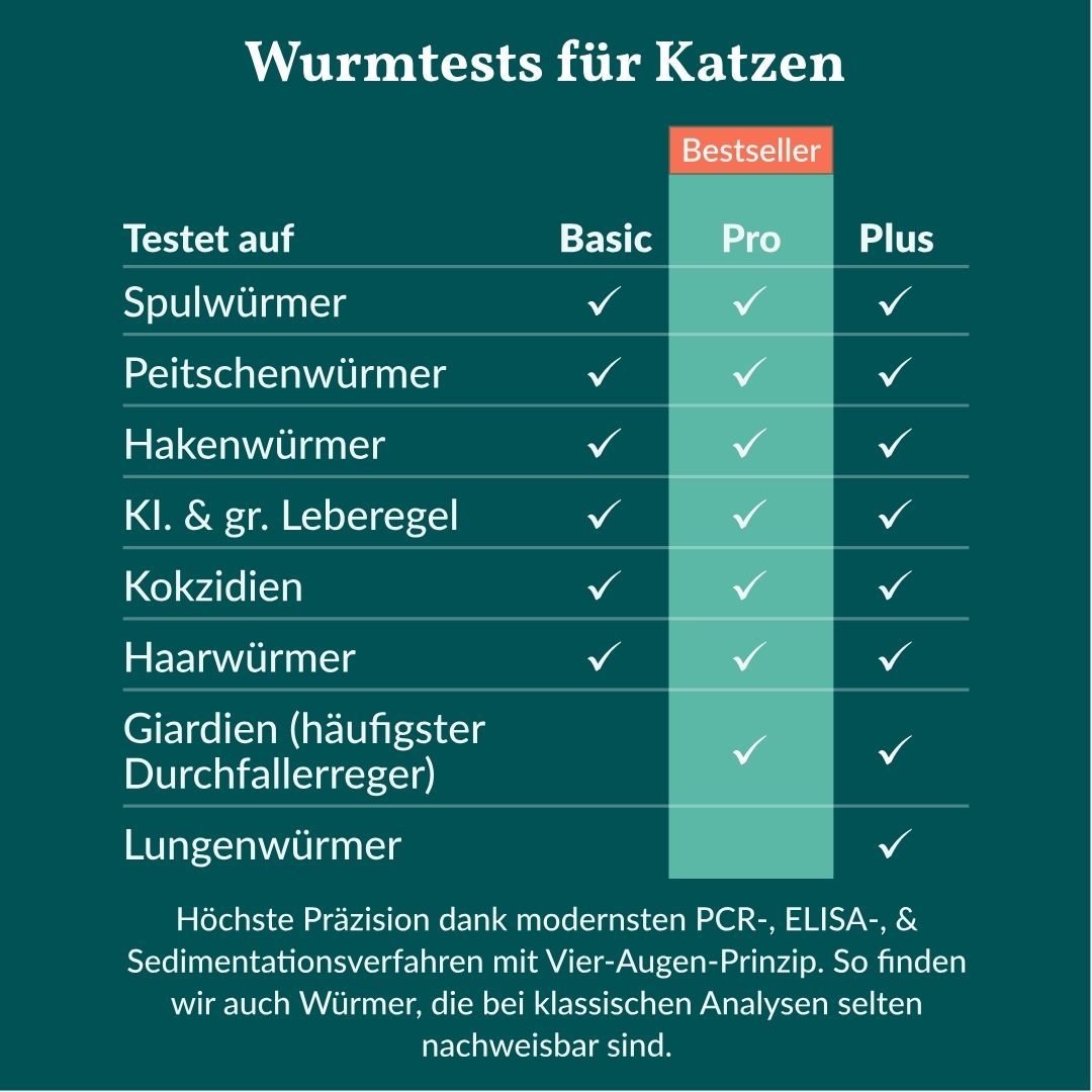 Vergleichstabelle der Wurmtests für Katzen: Basic, Pro und Plus mit getesteten Parasiten.