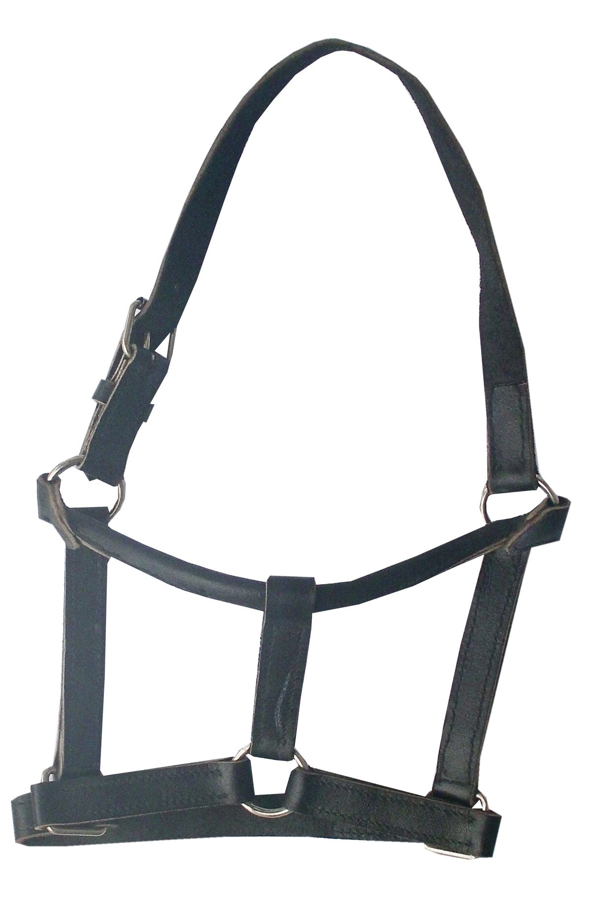 Schwarzes Lederhalfter mit Metallringen und Schnallen.