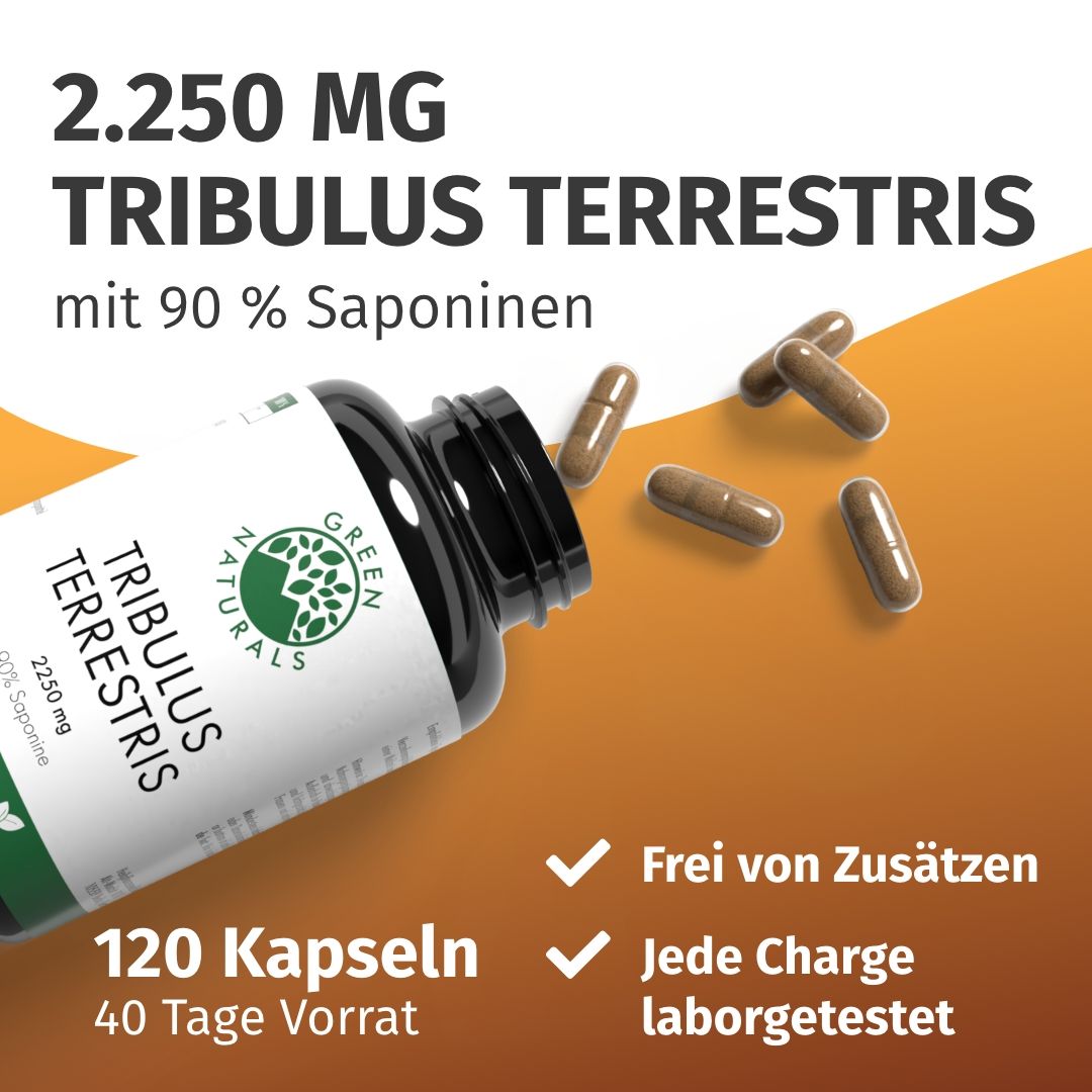 Tribulus Terrestris Kapseln: 2250 mg, 120 Kapseln, laborgetestet, frei von Zusätzen.