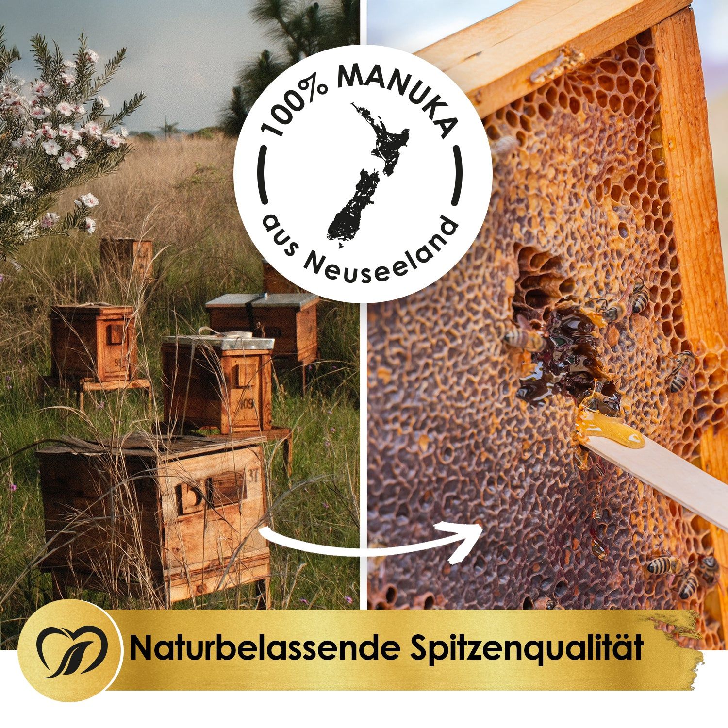 Bienenwaben mit Honig. Bienenkörbe im Hintergrund. Aufschrift: 100% Manuka aus Neuseeland. Naturbelassene Spitzenqualität.