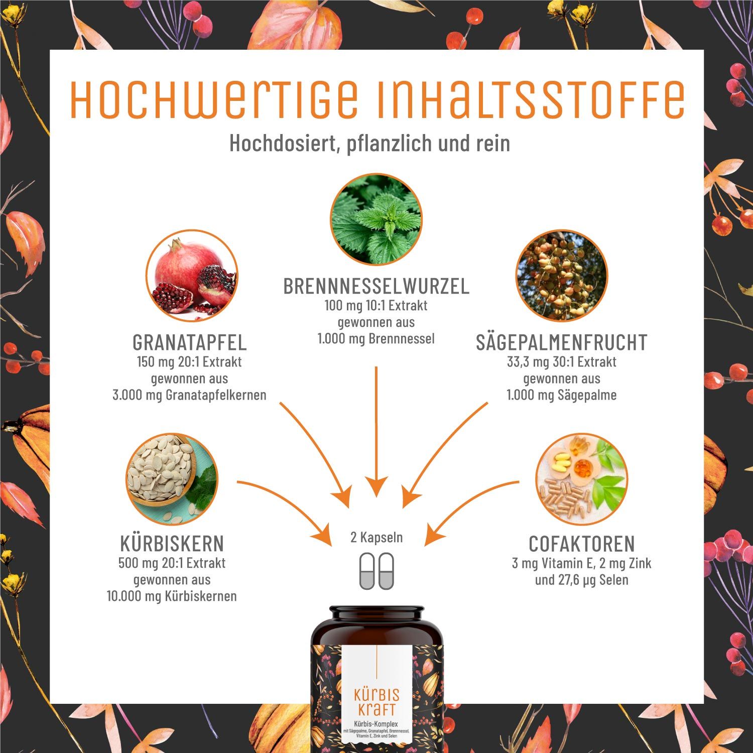 Kürbiskern Komplex mit Granatapfel, Sägepalmenextrakt, Brennnessel - Kürbiskraft - NATURTREU®