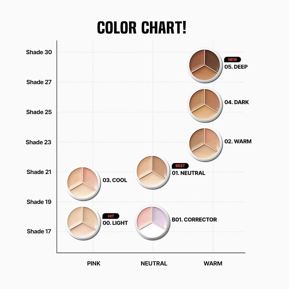 TFIT Cover Up Pro Concealer