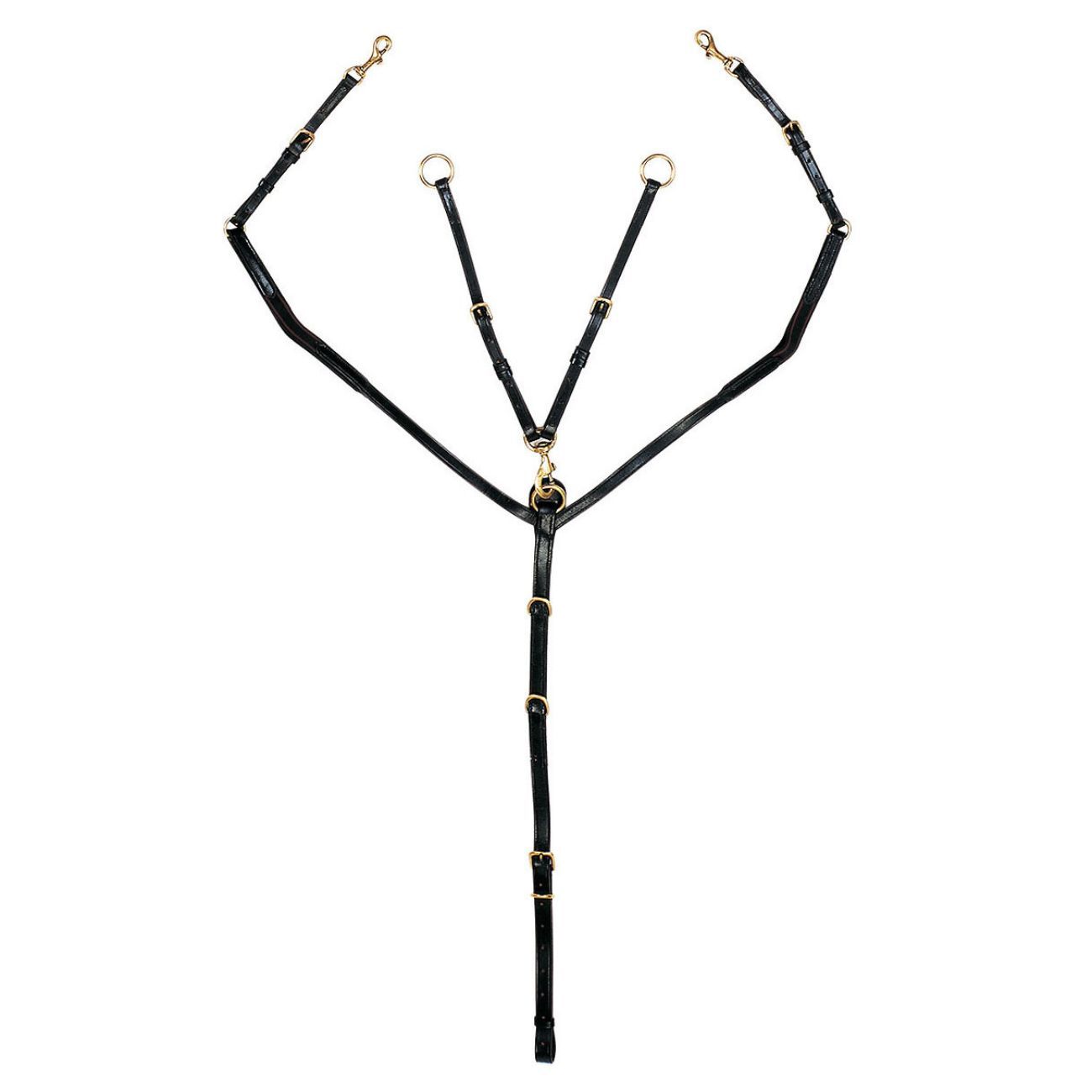 Schwarzes Vorderzeug mit goldenen Schnallen und Ringen.
