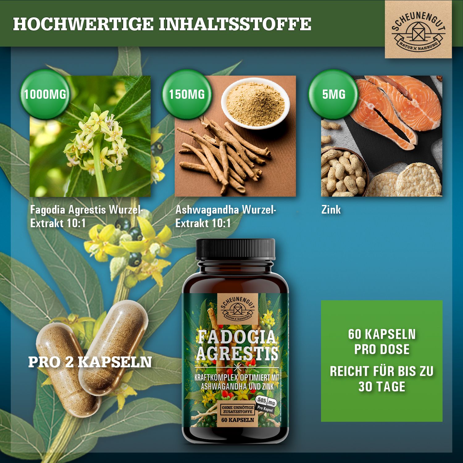 Braune Kapseln neben Inhaltsstoff-Grafiken. Fadogia Agrestis, Ashwagandha, Zink. Braune Flasche mit Produktetikett.