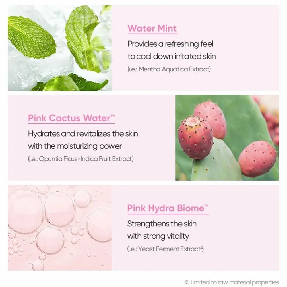Wasserminze mit Eiswürfeln und Limettenscheiben.