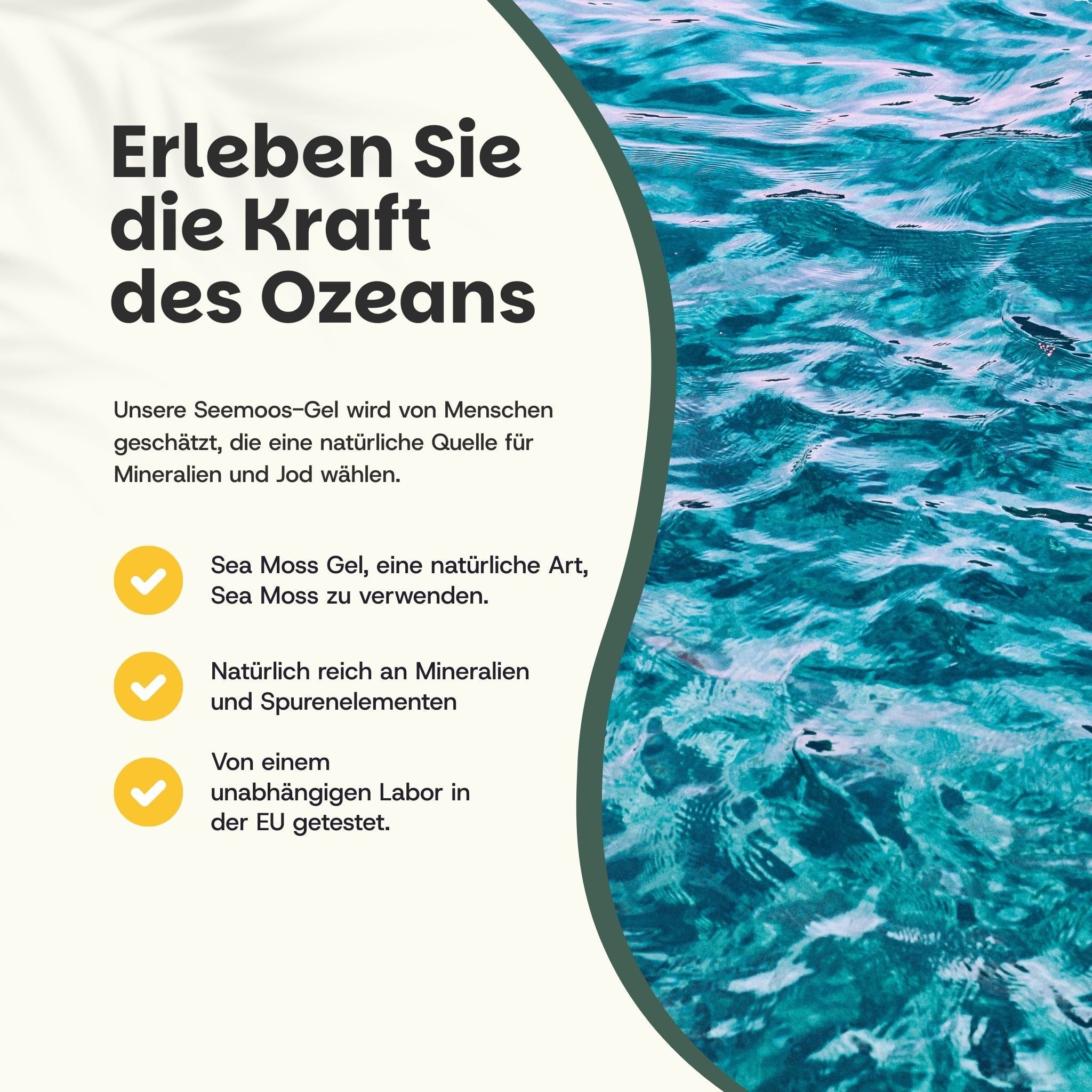 Eine Person streicht über grünes Gras. Text besagt: 'Erleben Sie die Kraft des Ozeans'.