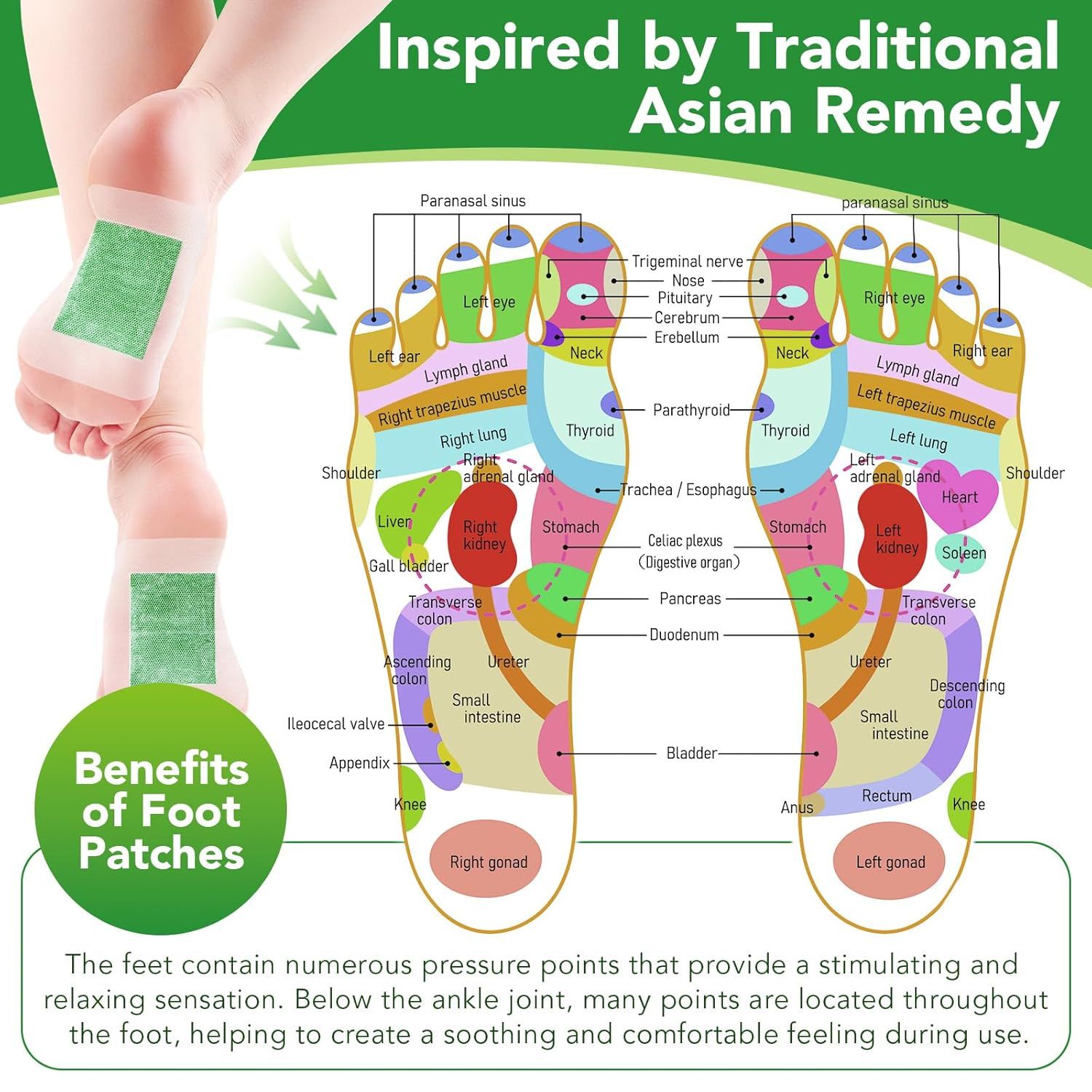 Fußreflexzonenkarte. Füße mit Fußpflastern. Text: Benefits of Foot Patches. Diagramm mit Fußreflexzonen.