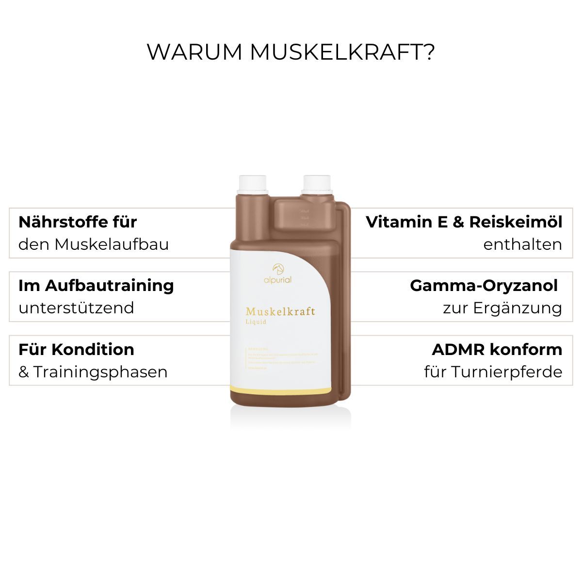 Grafik mit Flasche und Text: Nährstoffe für Muskelaufbau, Vitamin E & Reiskeimöl enthalten, etc.