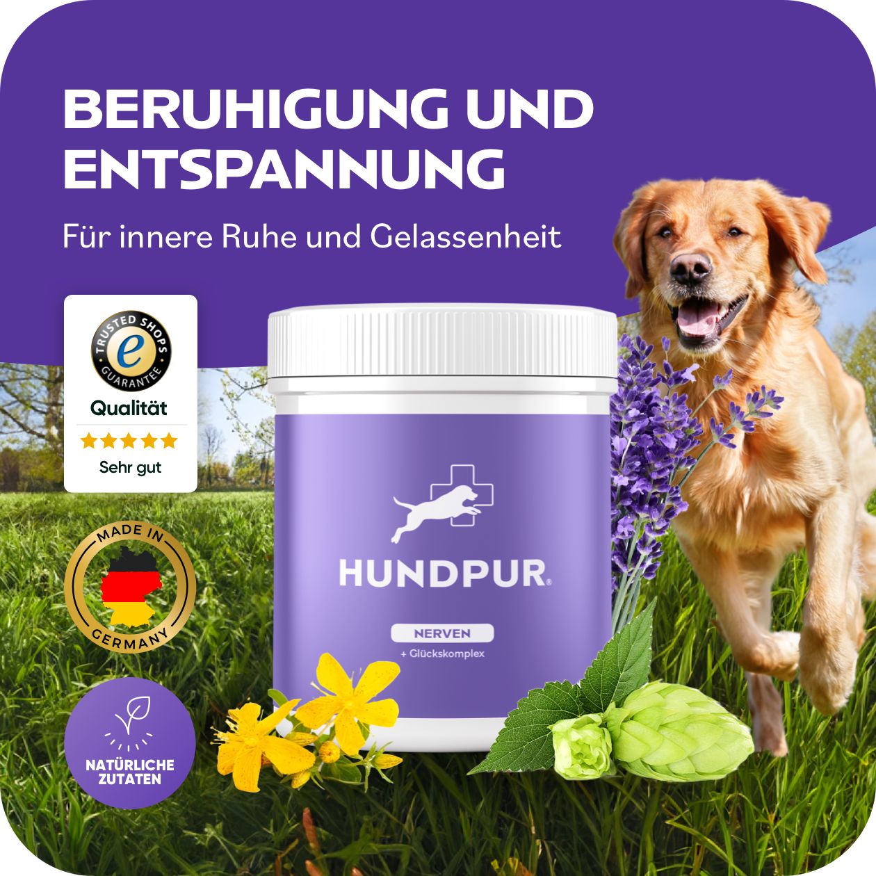 Produktglas mit lila Etikett, Hund. Text: Beruhigung und Entspannung. Siegel: Trusted Shops, Made in Germany, Natürliche Zutaten.