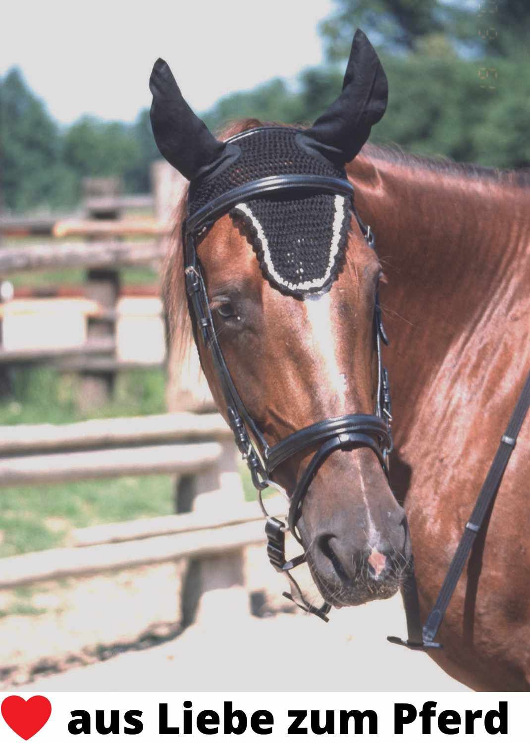 Schwarze Fliegenhaube mit weißem Zierband auf einem Pferd. Das Pferd trägt auch einen Zaum.