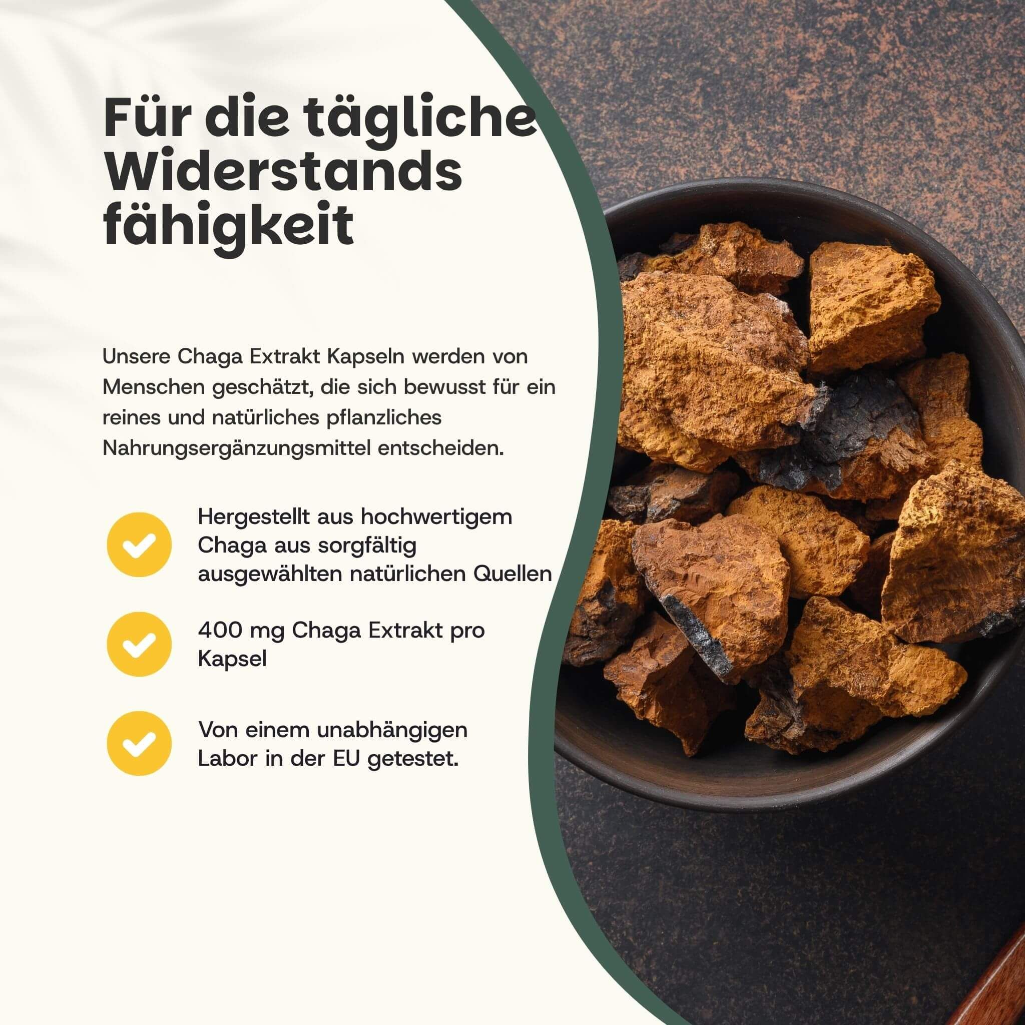 Schwarze Schüssel mit Chaga-Pilzstücken. Text: 400 mg Chaga Extrakt pro Kapsel. Getestet in der EU.