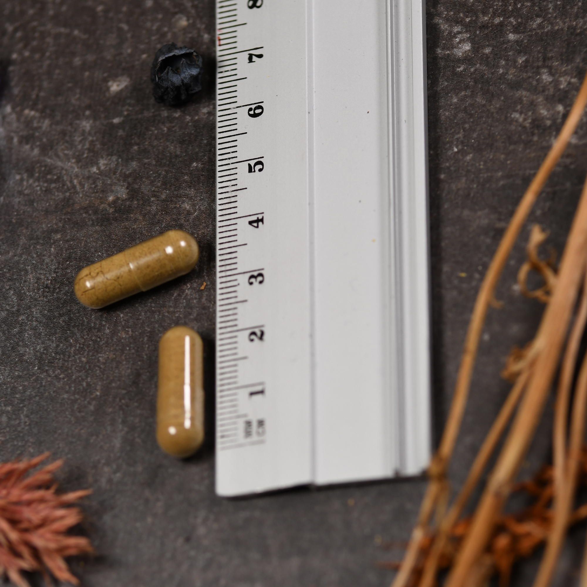 Zwei braune Kapseln neben einem Lineal. Auf dunklem Untergrund. Eine Kapsel liegt daneben.