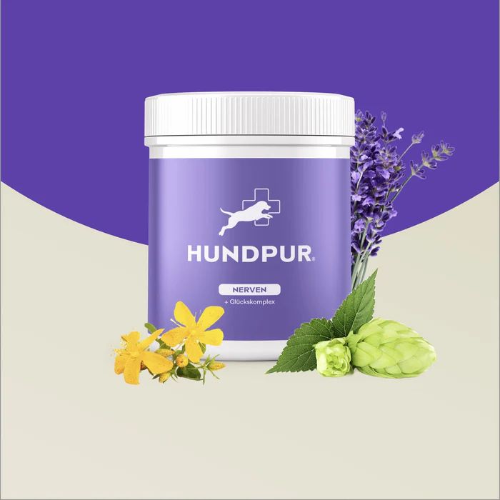 Lila Dose mit weißem Deckel. Aufschrift: HUNDPUR Nerven. Logo: Hund mit Kreuz. Blüten und Kräuter.