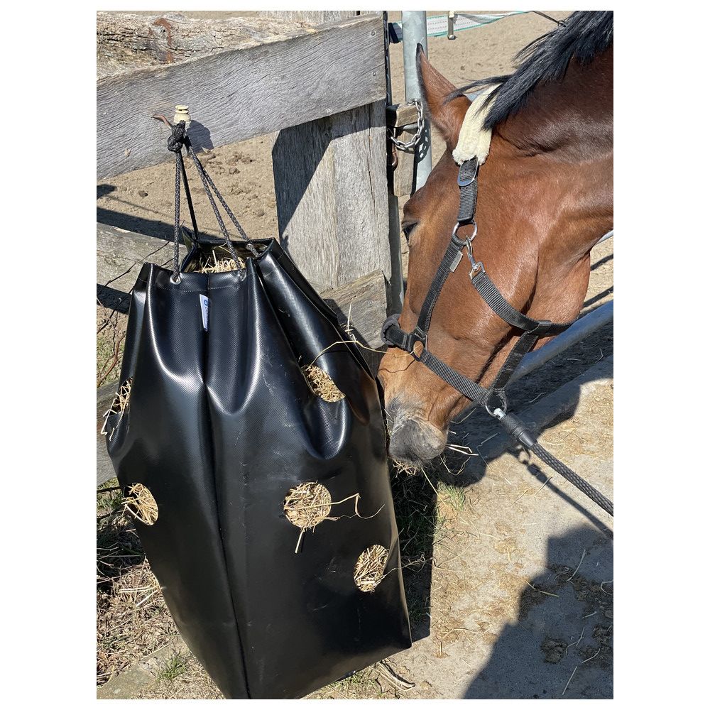 Pferd frisst aus einem schwarzen Heusack. Der Sack ist an einem Zaun befestigt.