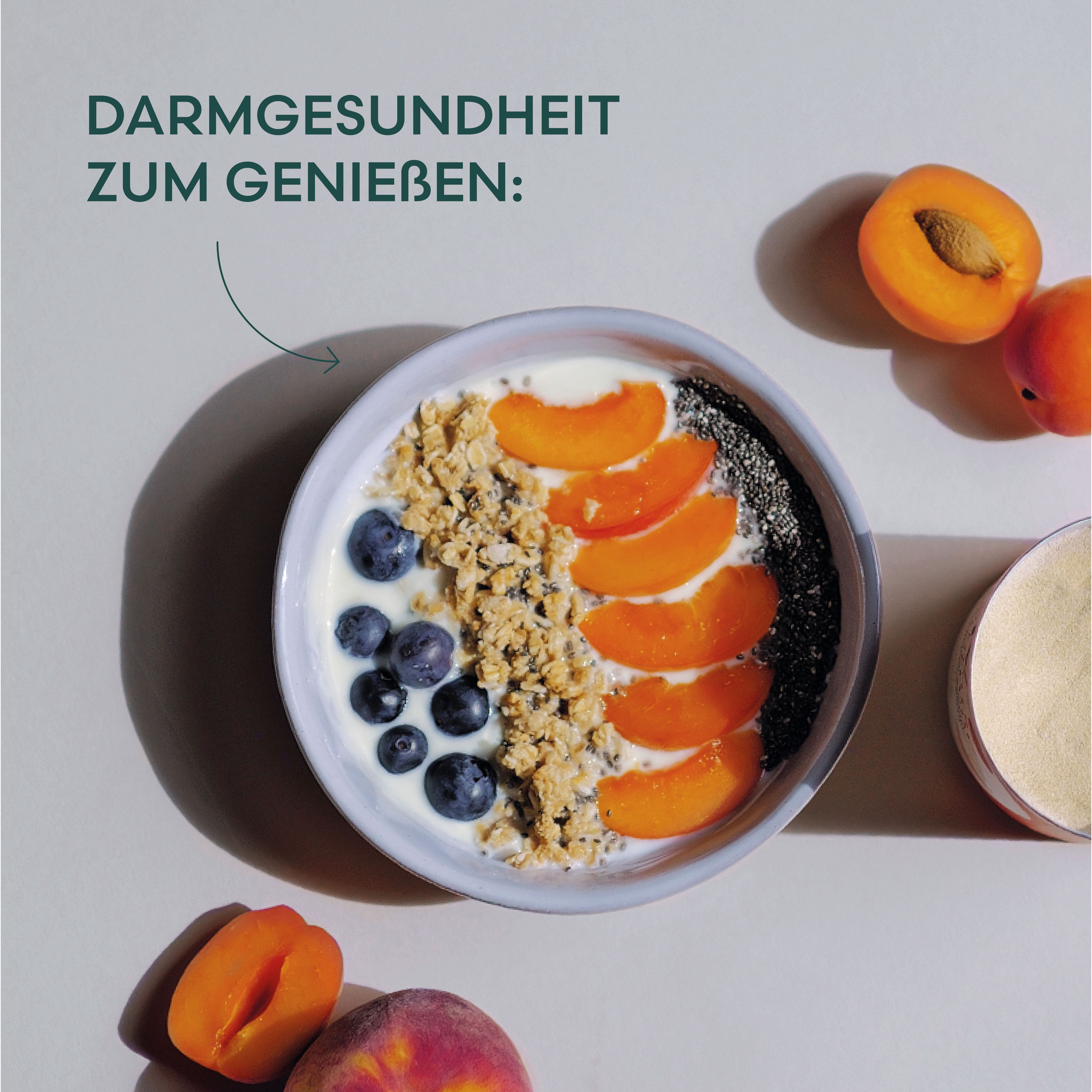 Schüssel mit Joghurt, Blaubeeren, Müsli und Aprikosen. Text: Darmgesundheit zum Genießen.