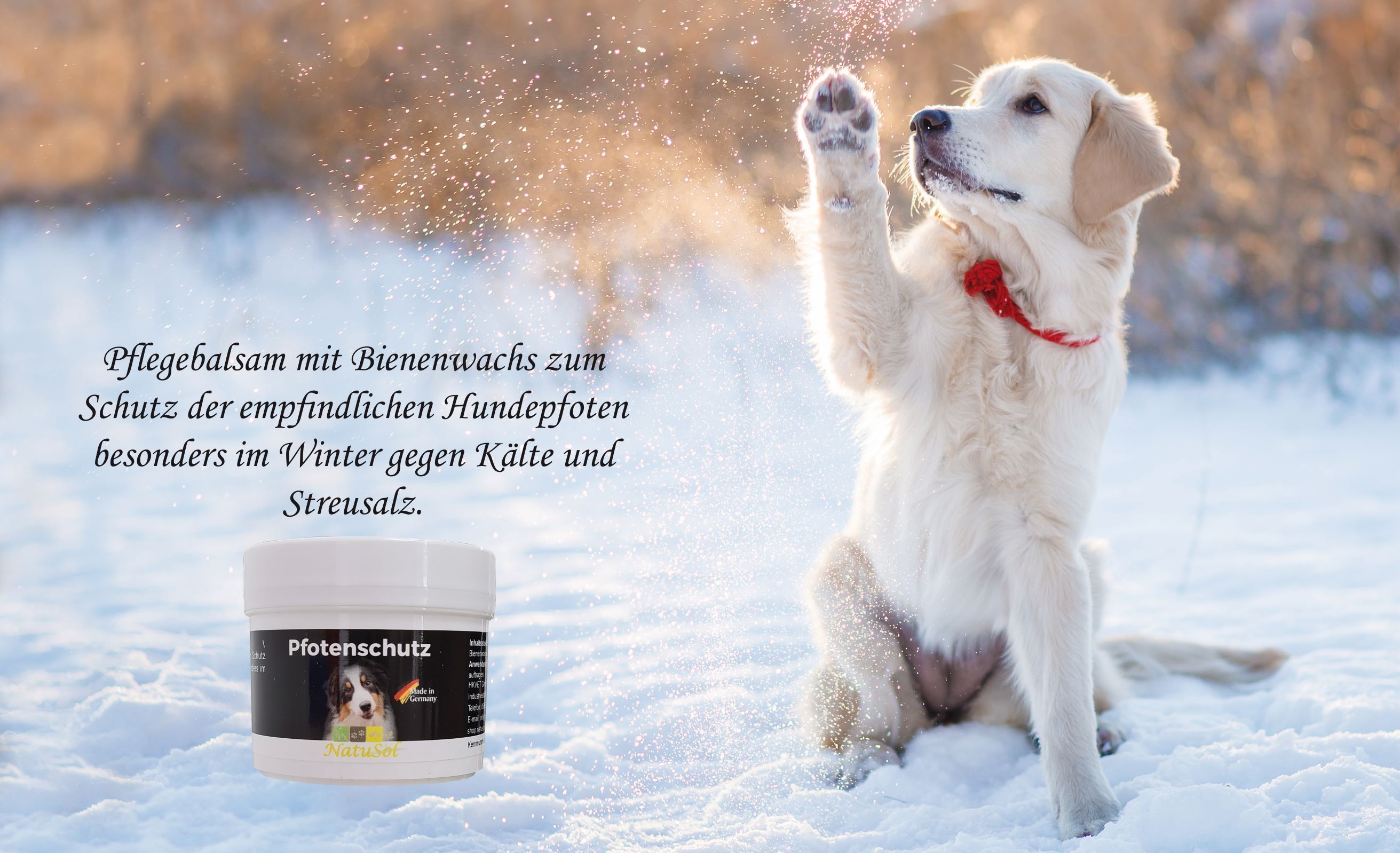 Hund im Schnee mit Pfotenschutz-Tiegel. Text: Pflegebalsam mit Bienenwachs zum Schutz der Hundepfoten.