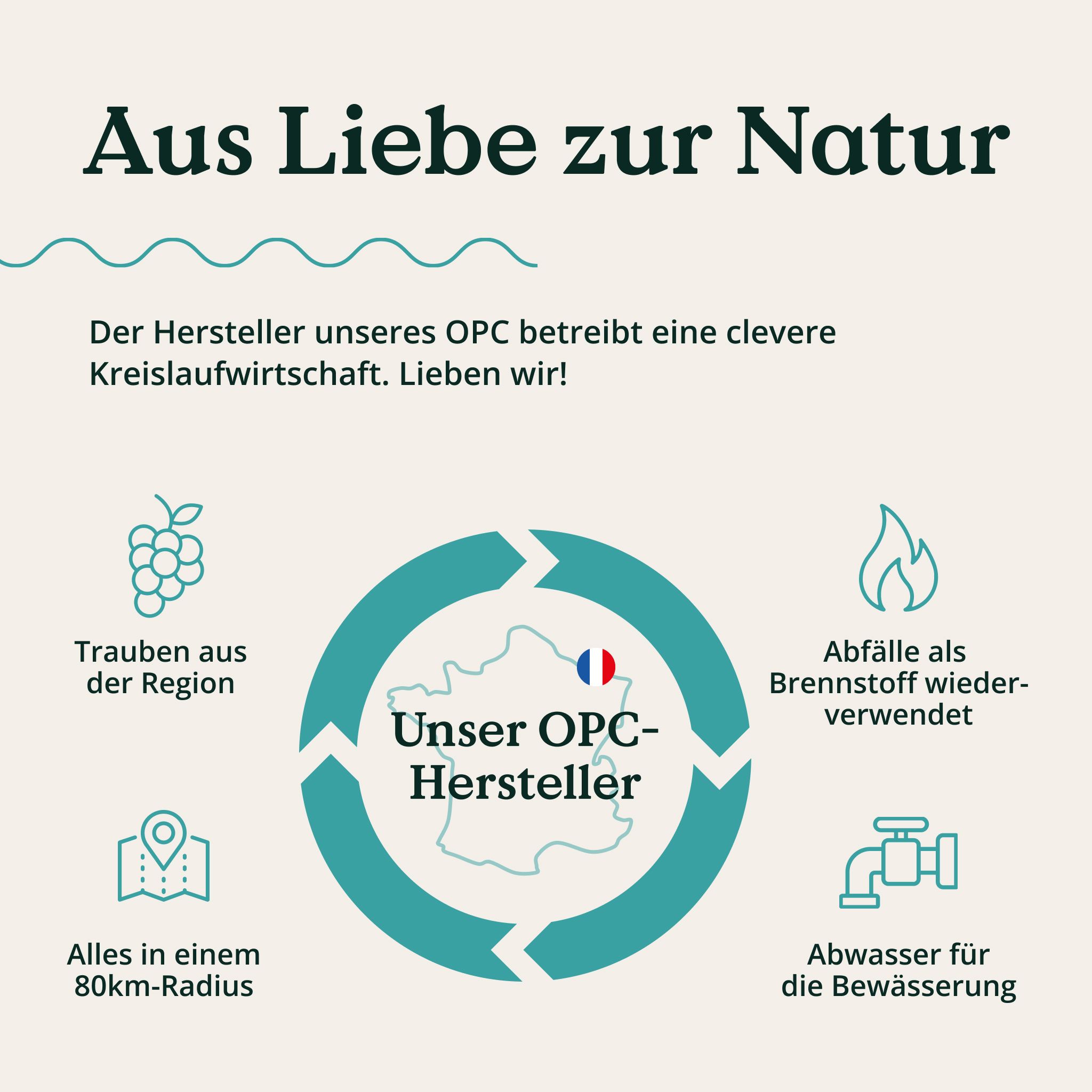 Kreislaufwirtschaft-Grafik. Trauben, Hersteller in Frankreich, Abwasser für Bewässerung, Abfälle als Brennstoff, alles im Umkreis.