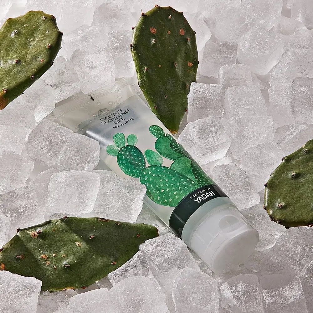 Transparentes Gel in Tube, umgeben von Eiswürfeln und Kaktusblättern. Aufschrift: Cactus Soothing Gel, YADAH.