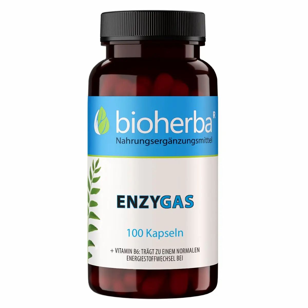 Braune Flasche mit schwarzen Deckel. Blaues Etikett mit weißer Schrift: bioherba, ENZYGAS, 100 Kapseln. Enthält Vitamin B6.