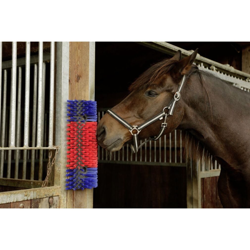 Bürste für Pferd, Rind, Ziege, an Holzpfosten montiert. Rote und blaue Borsten. Pferd mit Halfter im Stall.