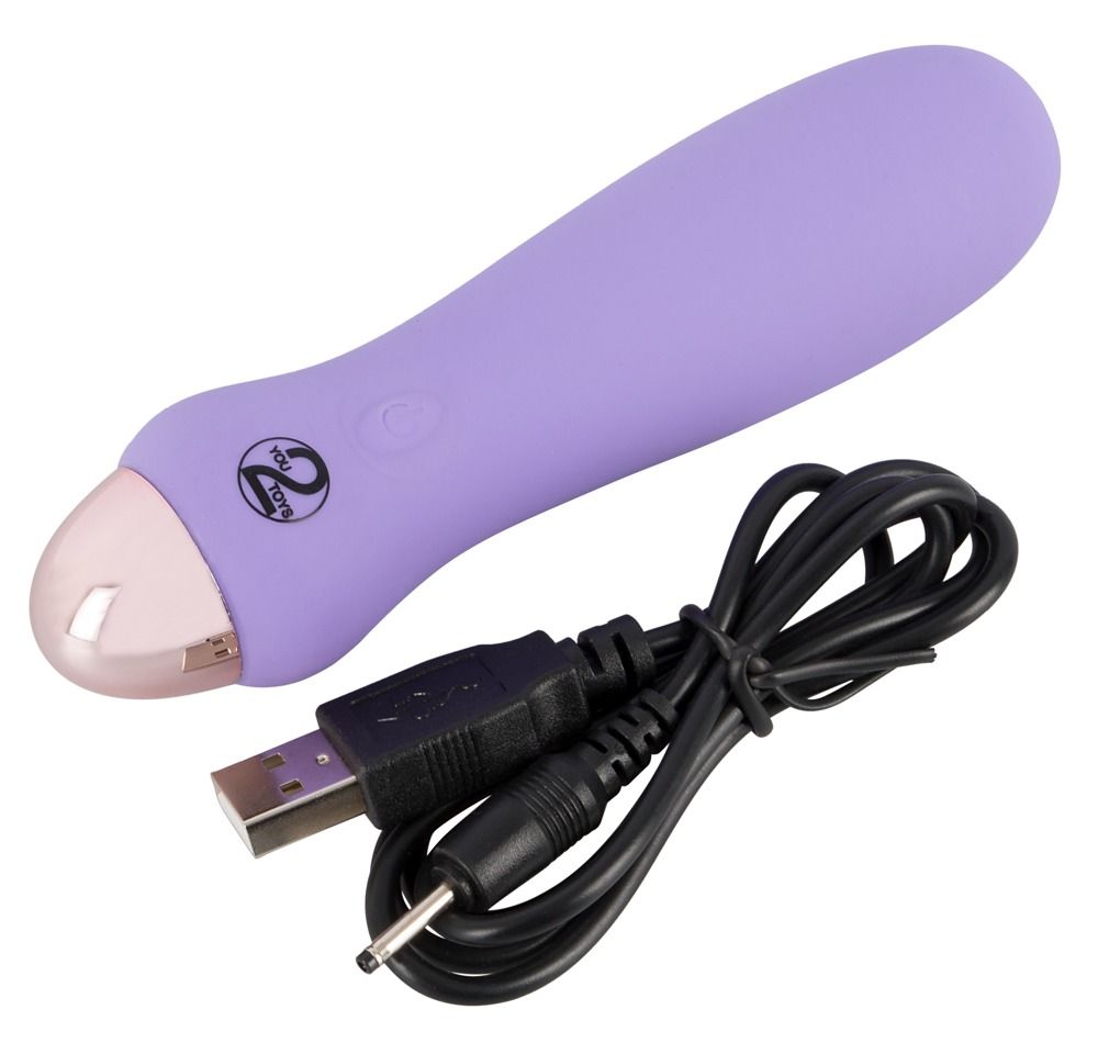 Lila Mini-Vibrator mit Soft-Kontur, silberner Spitze und USB-Ladekabel.